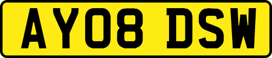 AY08DSW