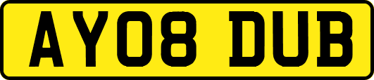 AY08DUB