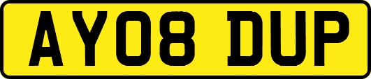 AY08DUP