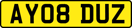 AY08DUZ