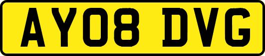 AY08DVG