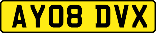 AY08DVX