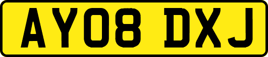 AY08DXJ