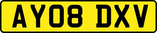 AY08DXV