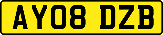 AY08DZB