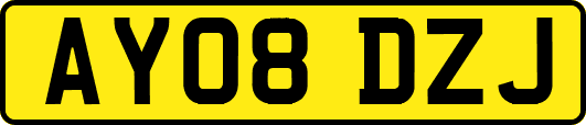 AY08DZJ