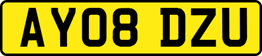 AY08DZU