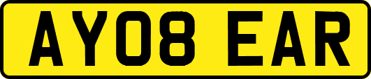 AY08EAR