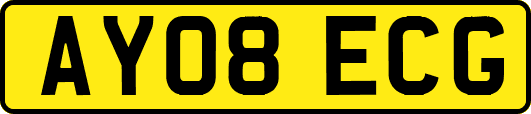 AY08ECG