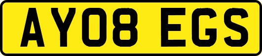 AY08EGS