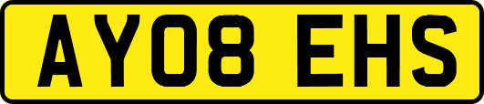 AY08EHS