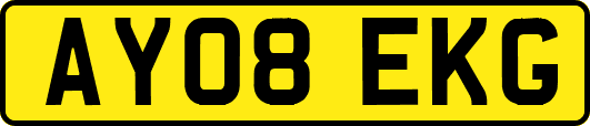AY08EKG