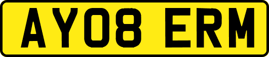 AY08ERM