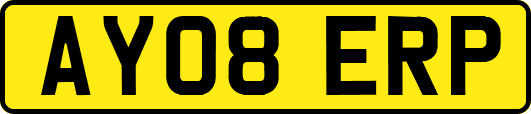 AY08ERP