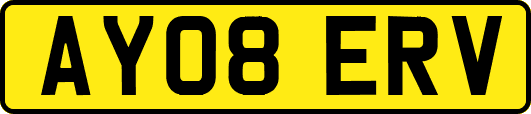 AY08ERV