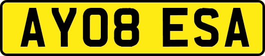 AY08ESA