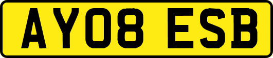 AY08ESB