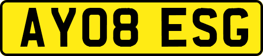 AY08ESG