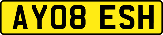 AY08ESH