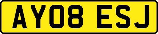 AY08ESJ