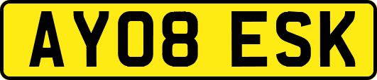 AY08ESK