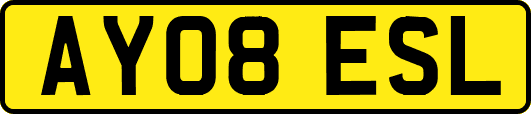 AY08ESL