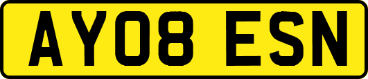 AY08ESN