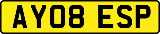 AY08ESP