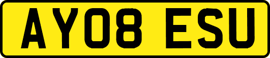 AY08ESU