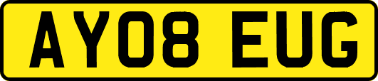 AY08EUG