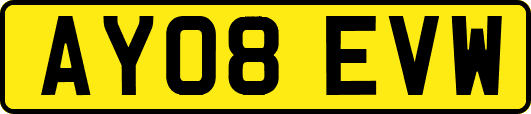 AY08EVW
