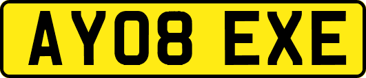 AY08EXE