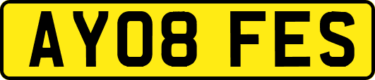 AY08FES