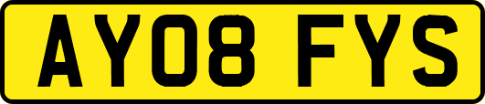AY08FYS
