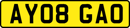 AY08GAO