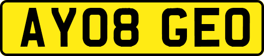 AY08GEO