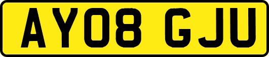 AY08GJU