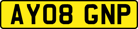 AY08GNP