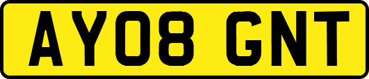 AY08GNT