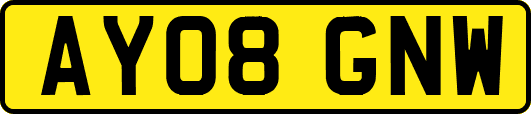 AY08GNW