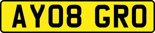 AY08GRO