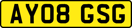 AY08GSG