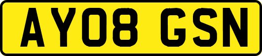 AY08GSN