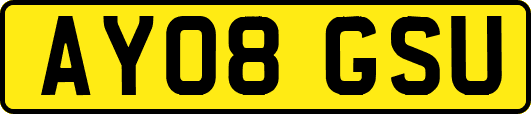 AY08GSU