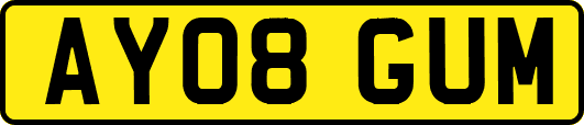 AY08GUM