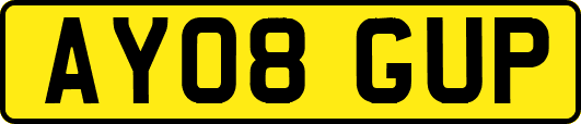 AY08GUP