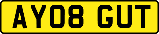 AY08GUT