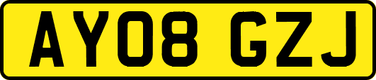 AY08GZJ