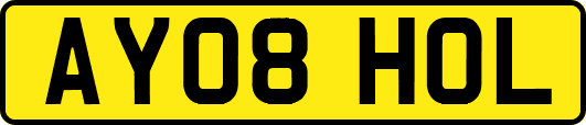 AY08HOL