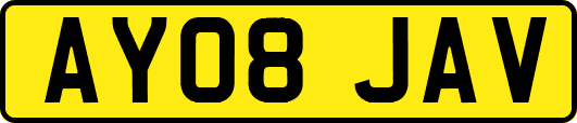 AY08JAV